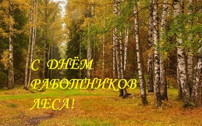 День работников  леса  2023 в  России. 