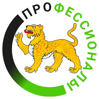 Региональный этап Чемпионата профессионального мастерства «Профессионалы-2024».